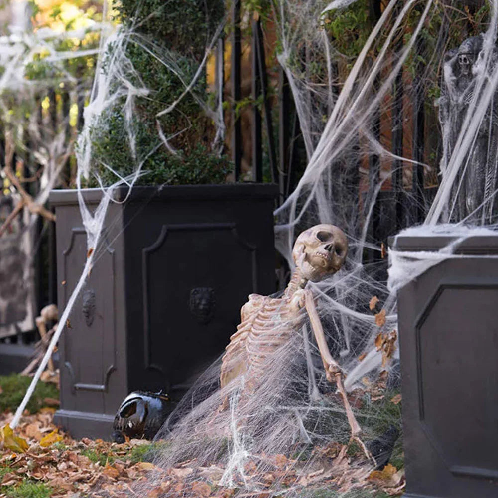 Stretchy Artificial Halloween Spider Web with Spiders
